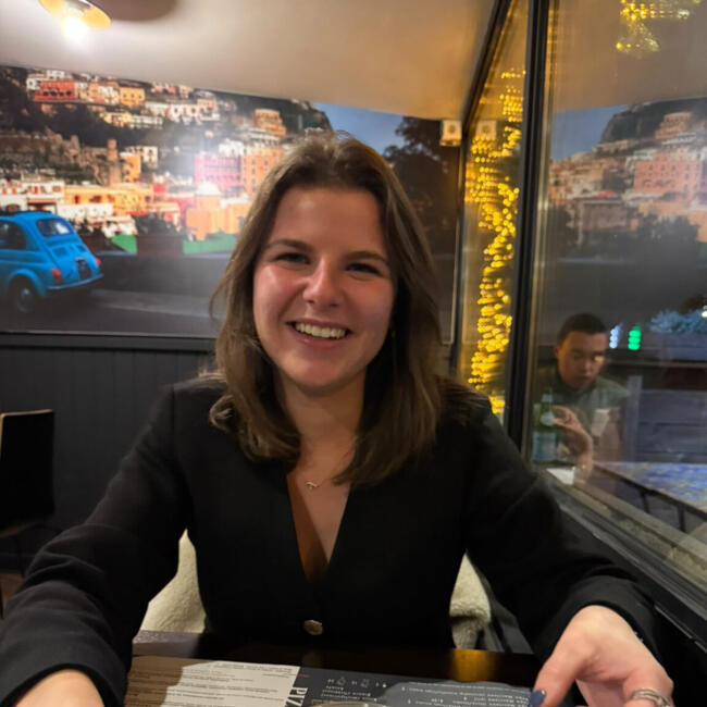 Babysitter in Liège: Romane