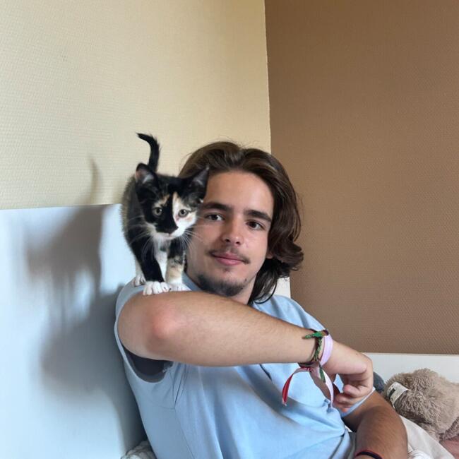 Babysitter in Dijon: Lucas