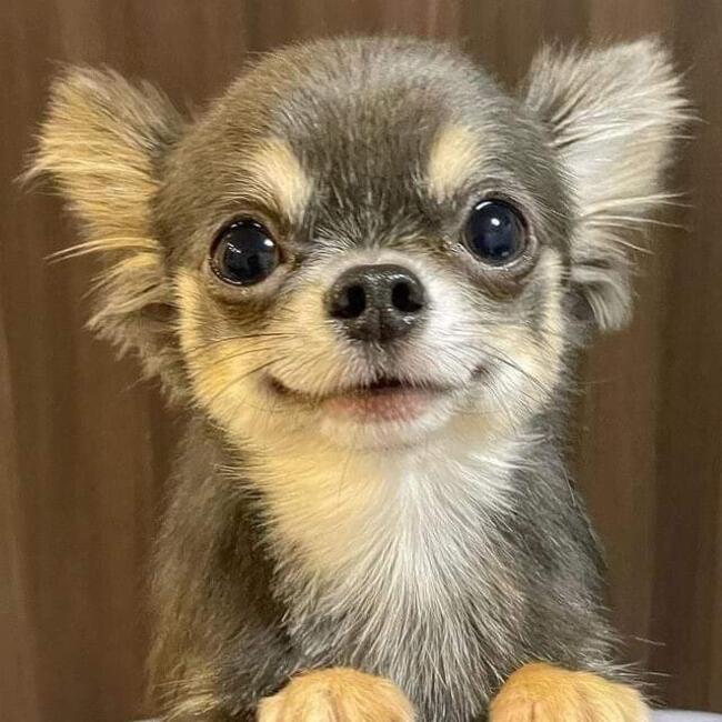 Childcare agency in Grand Baie: Royal keys conciergerie