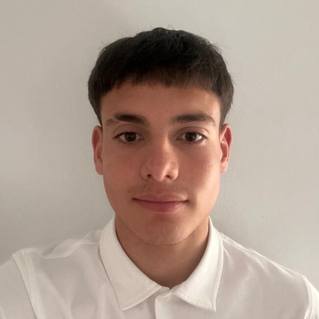 Babysitter in Terrassa: Ramiro