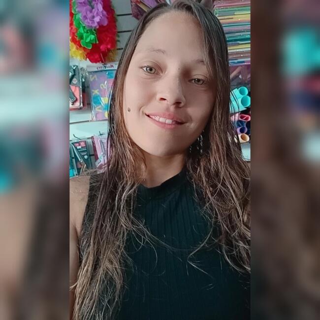 Babysitter in Valparaíso de Goiás: Tayna