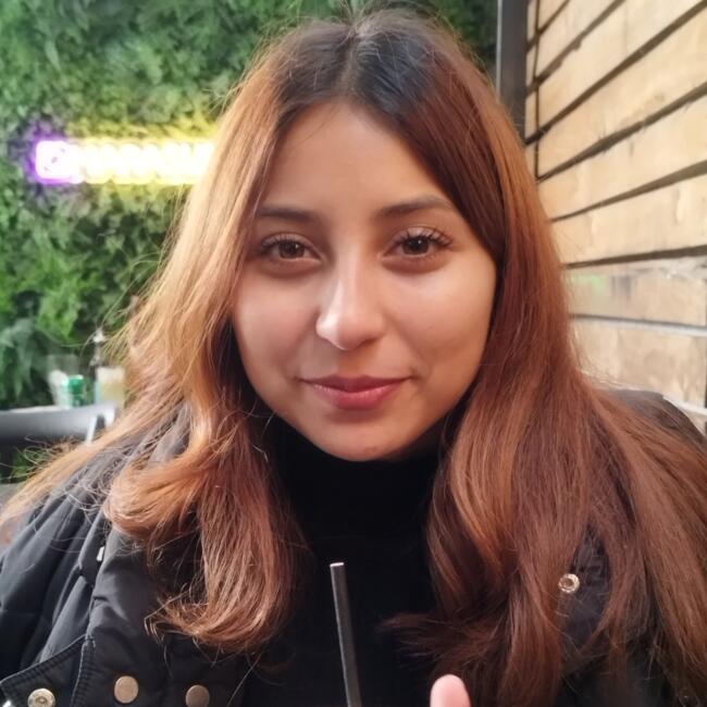 Babysitter in Rancagua: Krishna