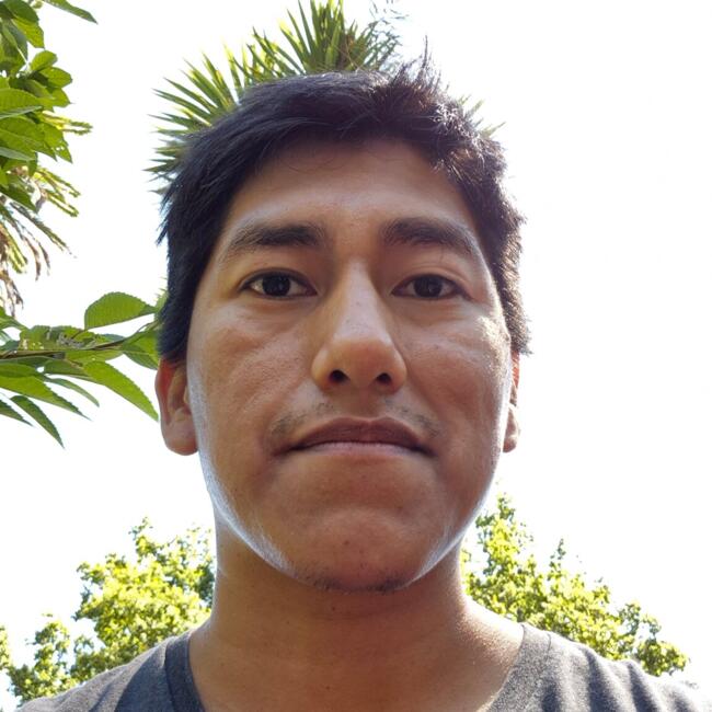 Babysitter in Viña del Mar: Andres Chambilla