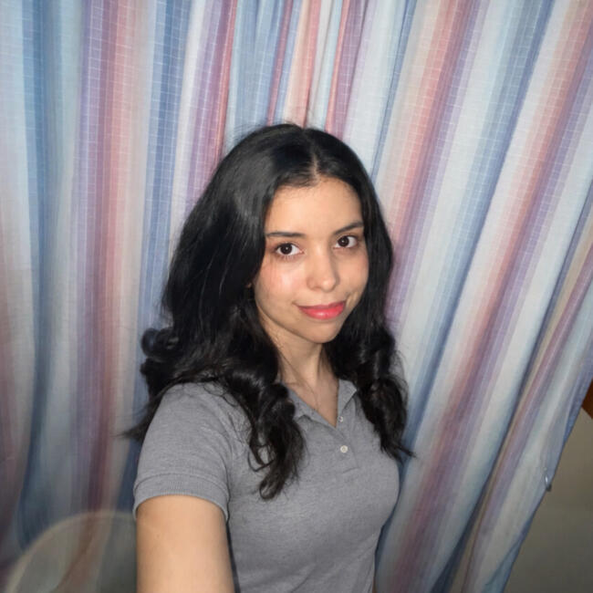 Babysitter in Ciudad del Este: Nora