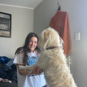 Babysitter Auckland: Nova