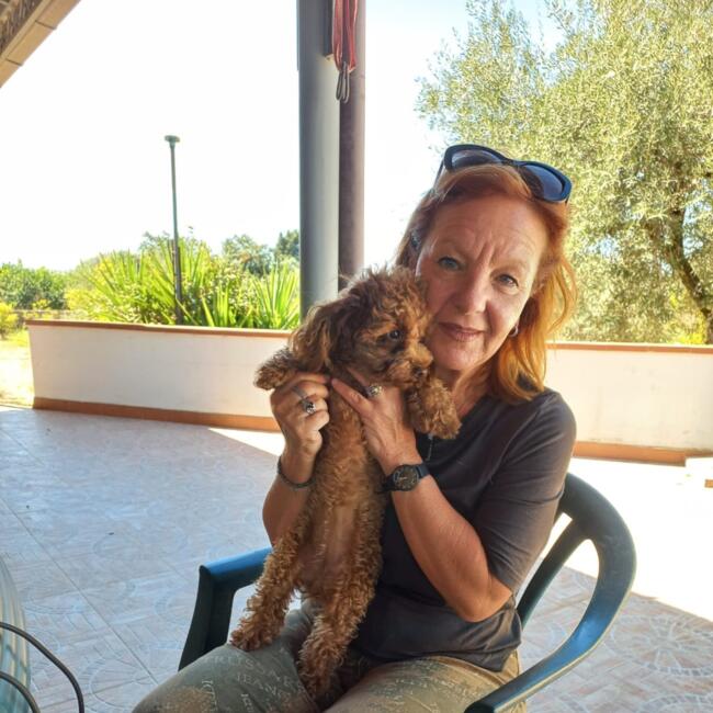 Babysitter in Syracuse: Cettina