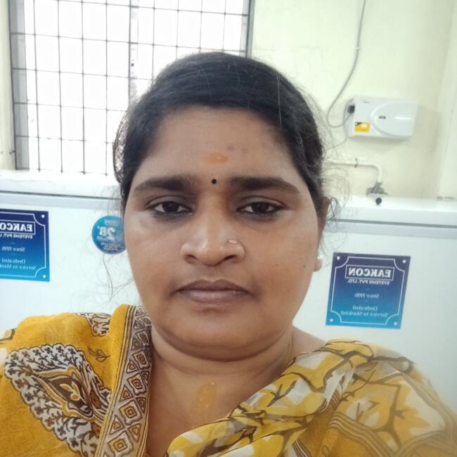 Babysitter in Chennai: Anitha