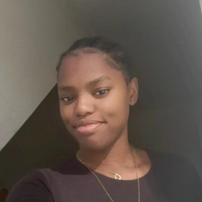 Babysitter in Champs-sur-Marne: Mindelinta