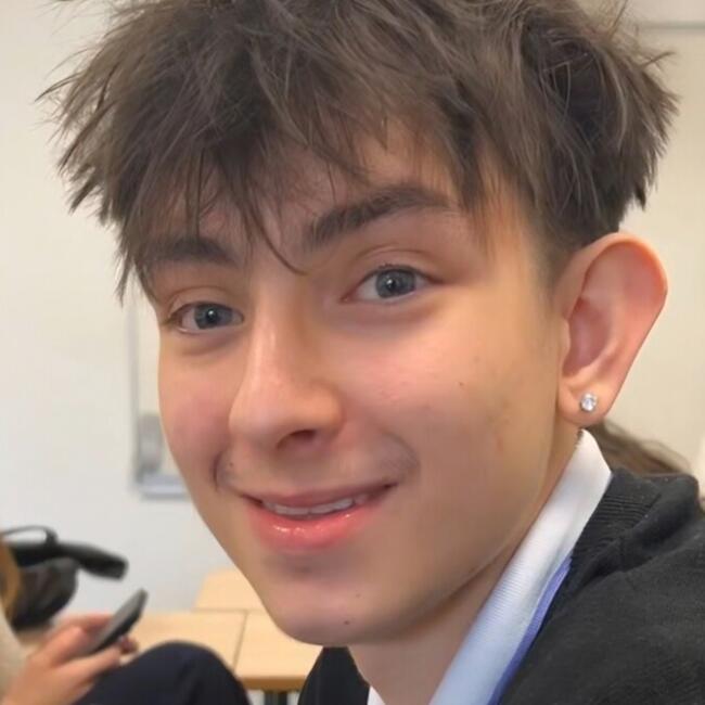 Babysitter in Illkirch-Graffenstaden: Axel