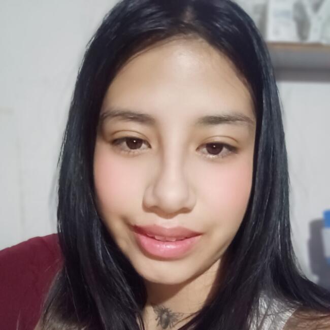 Babysitter in Santiago: Nayery