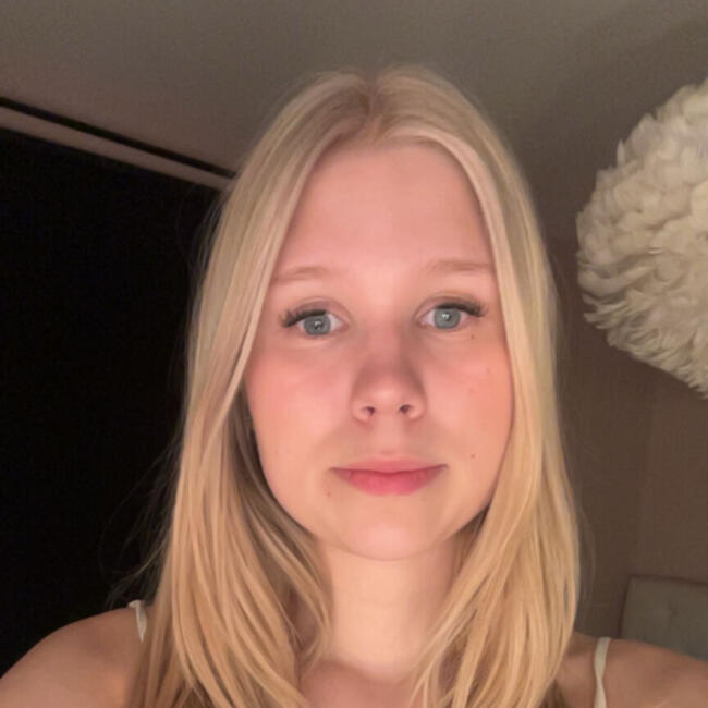 Babysitter in Uppsala: Saga