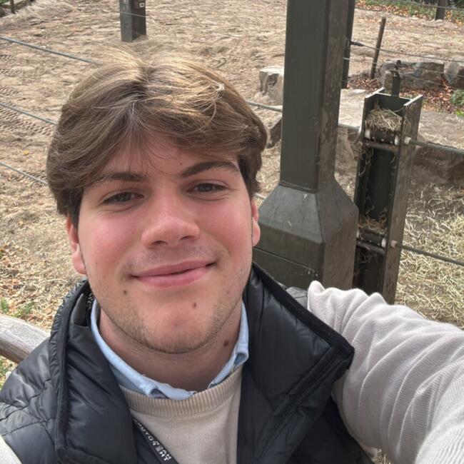 Babysitter in Kortrijk: Wout