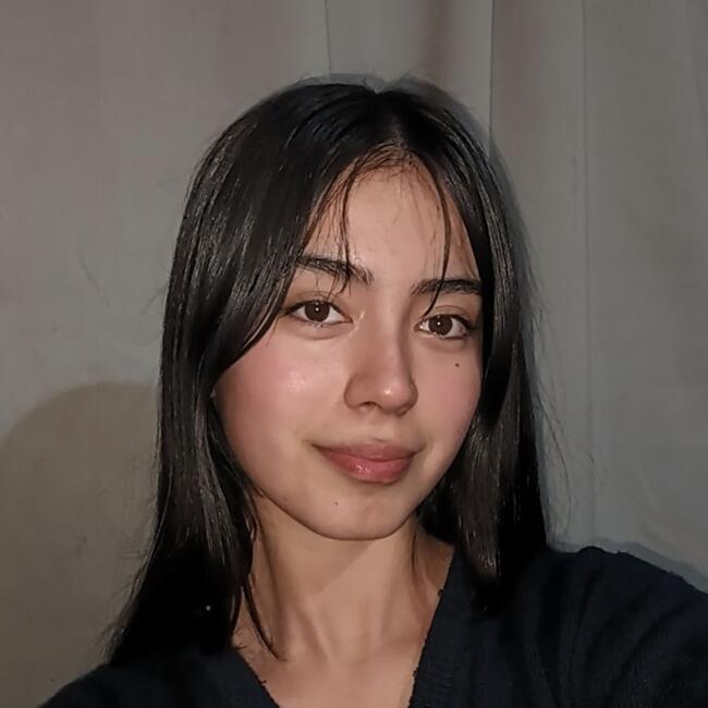 Babysitter in Villarrica: Agustina