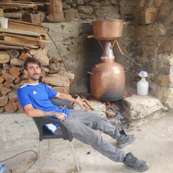 Babysitting job in Bragança: babysitting job Rui