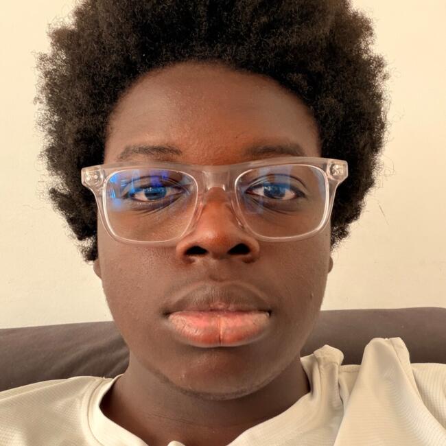Babysitter in Tremblay-en-France: Souleymane