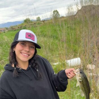 Nanny in Gillette: Cadence