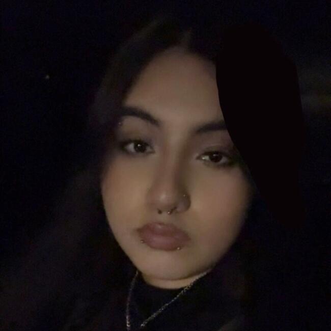 Babysitter in Chicago: Arieli