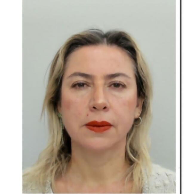 Niñera en Providencia: Catherin