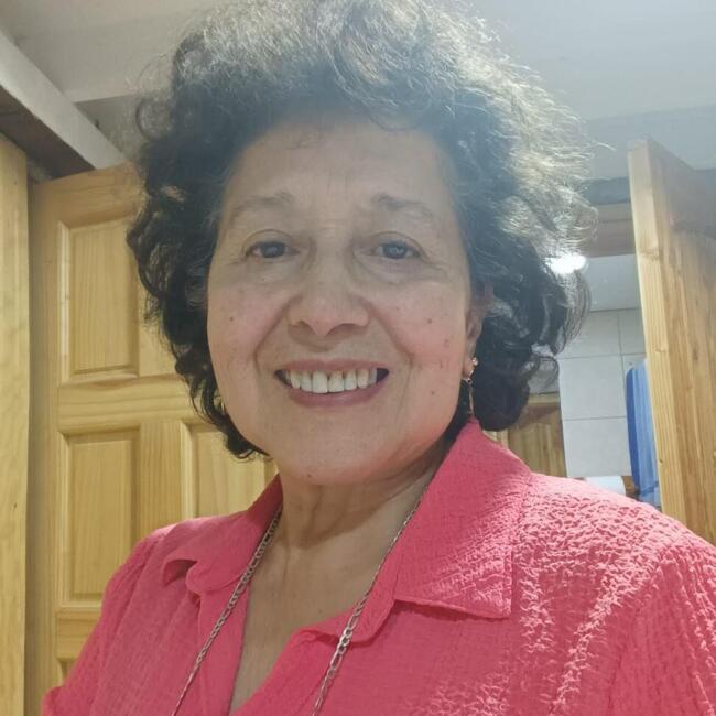 Babysitter in Coquimbo: Veronica