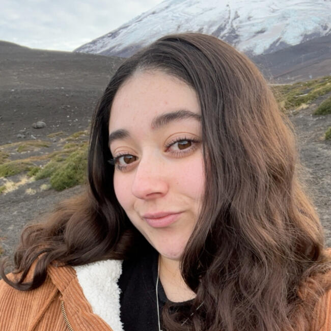 Babysitter in Ancud: Bárbara