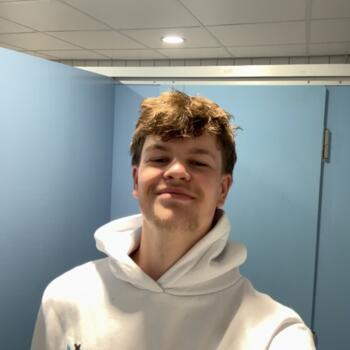 Babysitter in Beneden-Leeuwen: Tomas