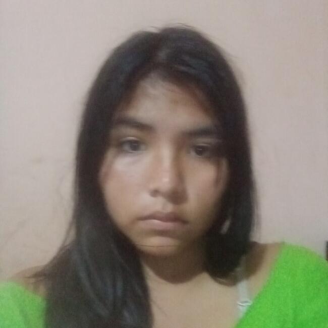 Babysitter in Santa Cruz: Araceli
