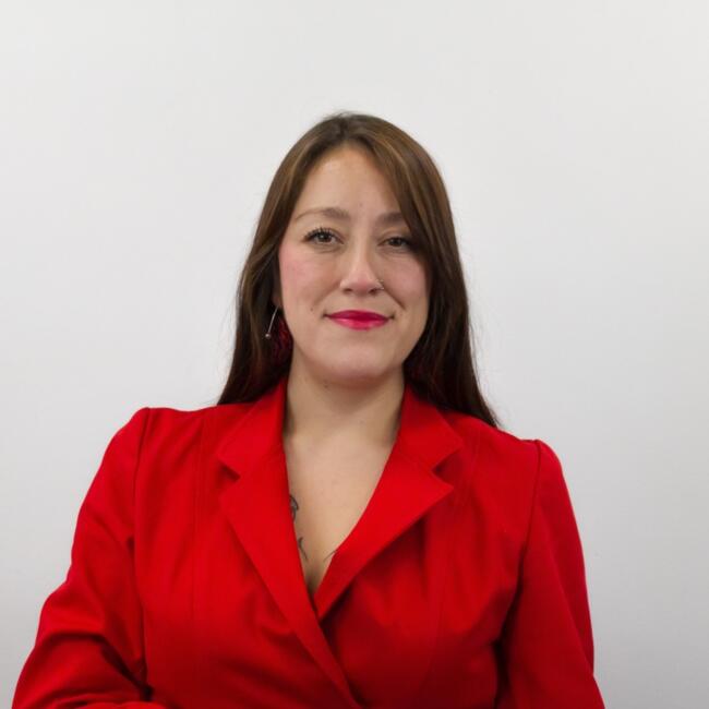 Babysitter in Santiago: DYANA STEFANIA