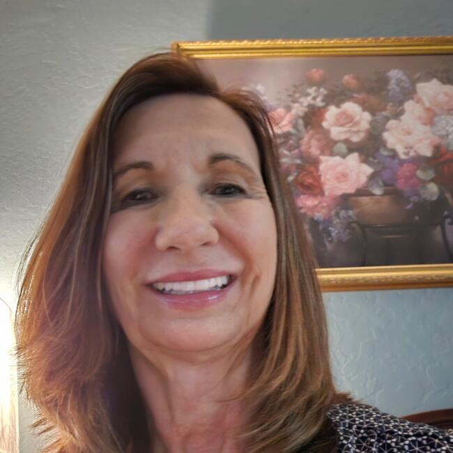 Babysitting job in San Tan Valley: Nancy