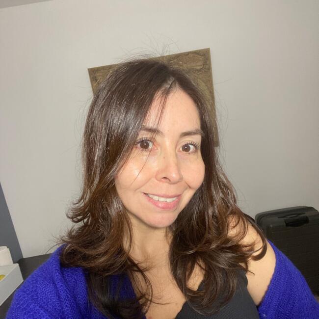 Babysitting job in Valdivia: Monica