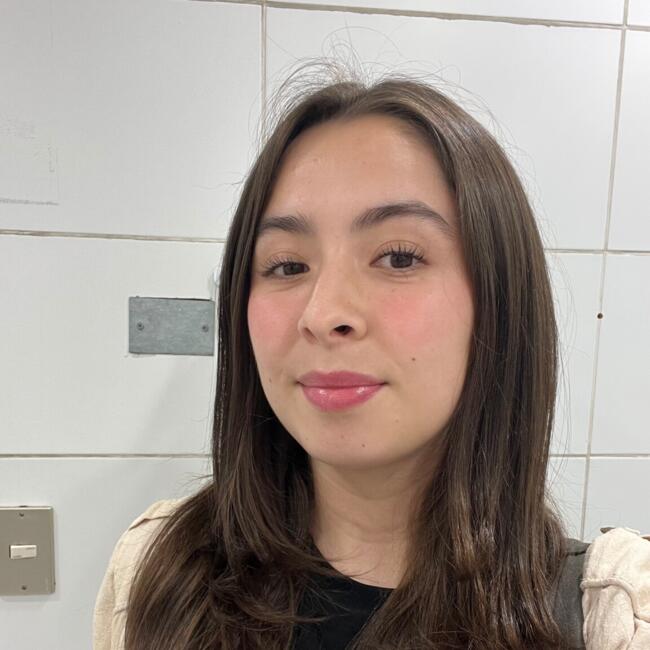 Babysitter in Viña del Mar: Fernanda