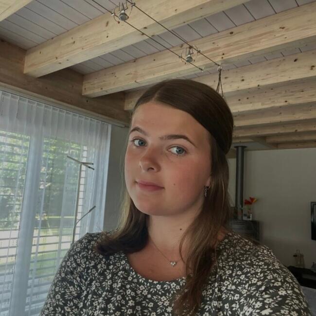 Babysitter in Courgenay: Loane