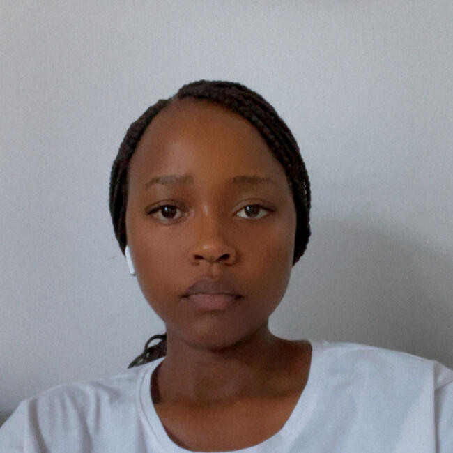 Babysitting job in Caxias: Ivanilda