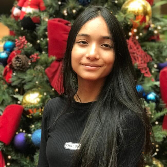 Babysitter in Samambaia (Distrito Federal): Pollyanna