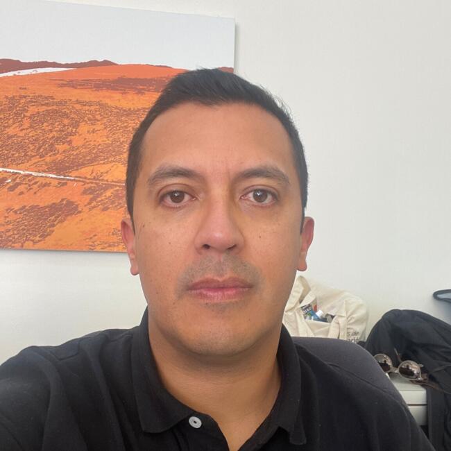 Trabajo para niñera en Coquimbo: Mario