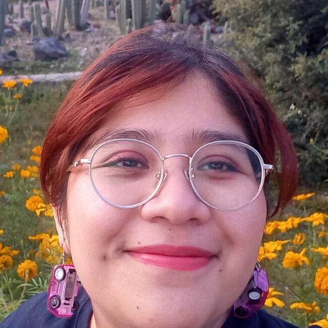 Niñera en Ciudad de México: Aranza Hernández