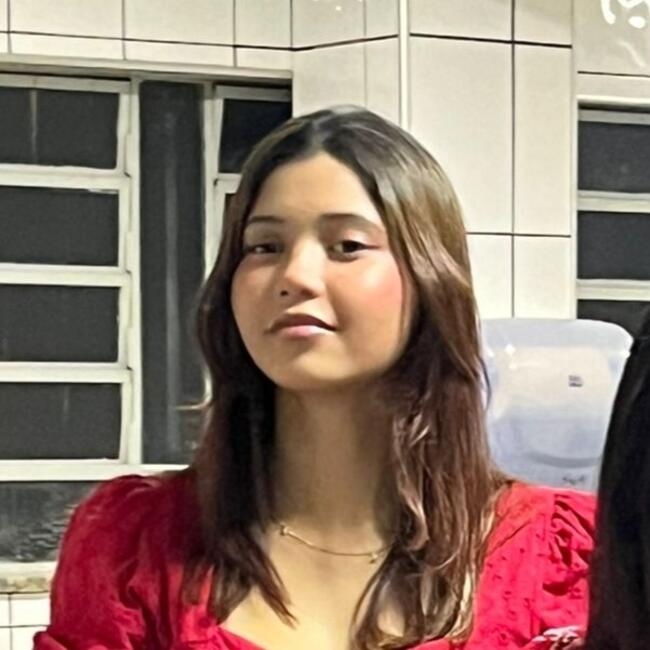 Babysitter in São José do Rio Preto: Ray