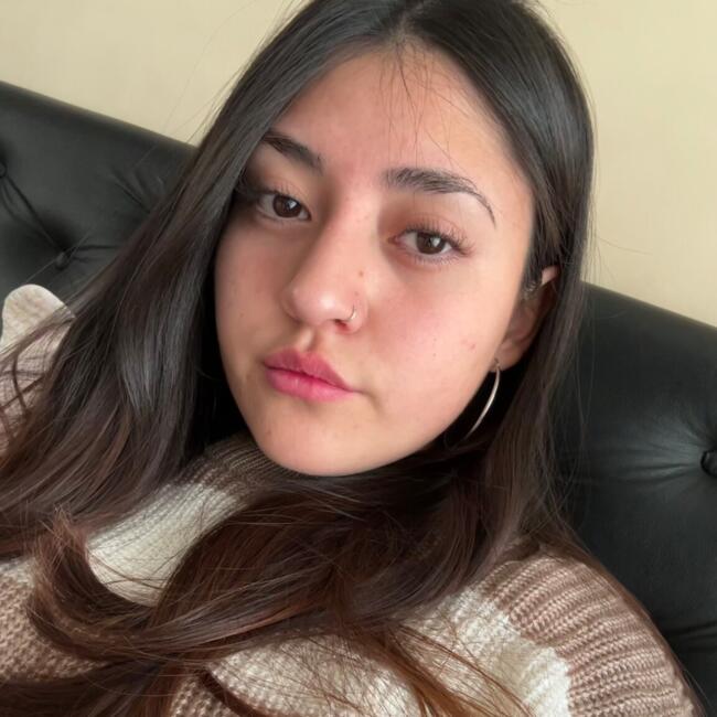 Babysitter in Calama: Amylee
