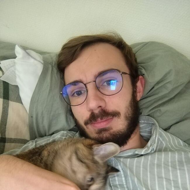 Babysitter in Caen: Quentin