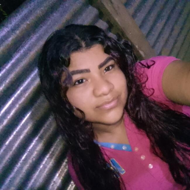 Babysitter in Panama City: Lineth