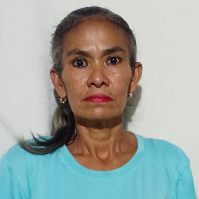 Babysitter in Caracas: Ligia rosa