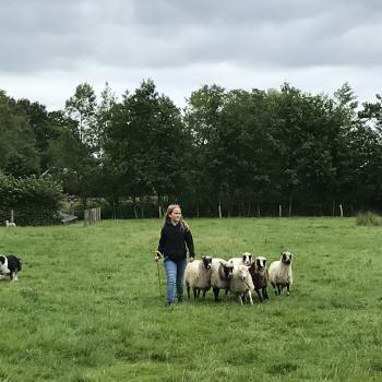 Oppasadres in Amersfoort: oppasadres Agaath
