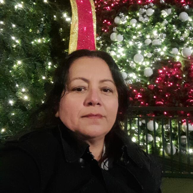 Niñera en Bogotá: Nancy Yaneth Rodríguez Tello