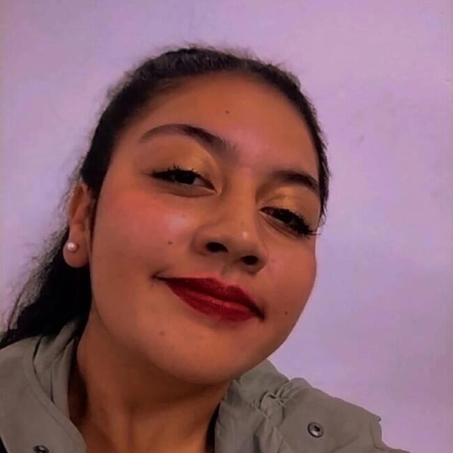 Niñera en Chillán: Genesis