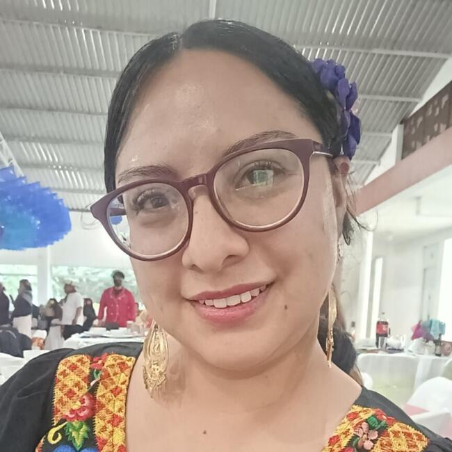 Babysitting job in Santa Ana Chiautempan: Luz