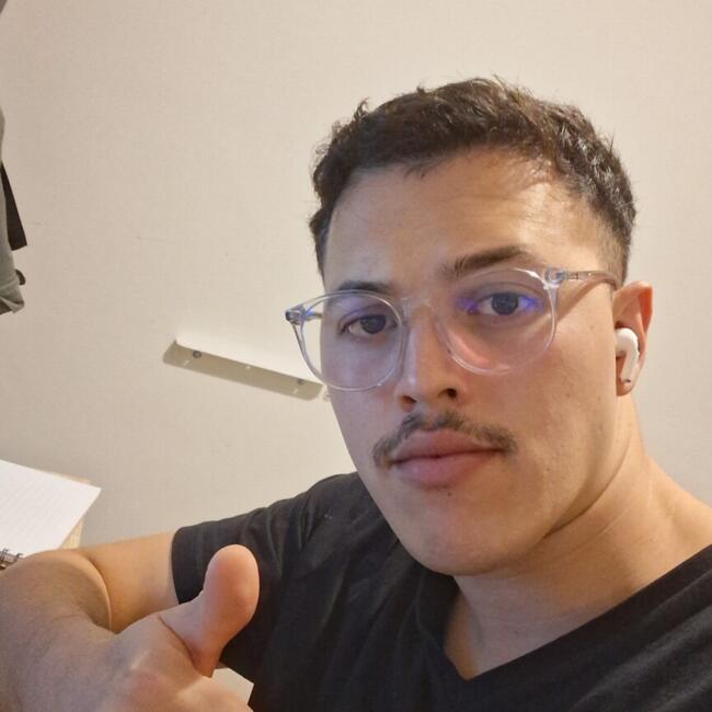 Babysitter in Bray: Gustavo
