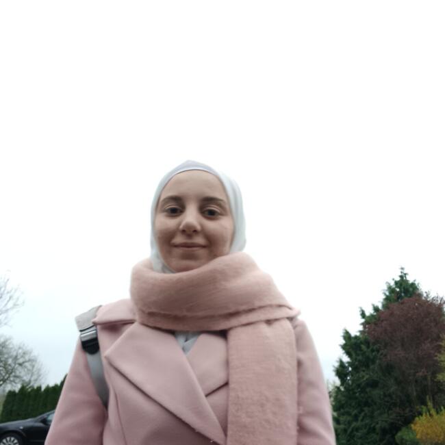 Babysitting job in Schönburg: Mohammad