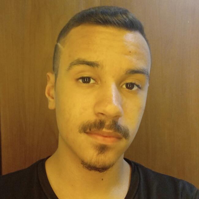 Babysitter in Santo André: Carlos Roberto