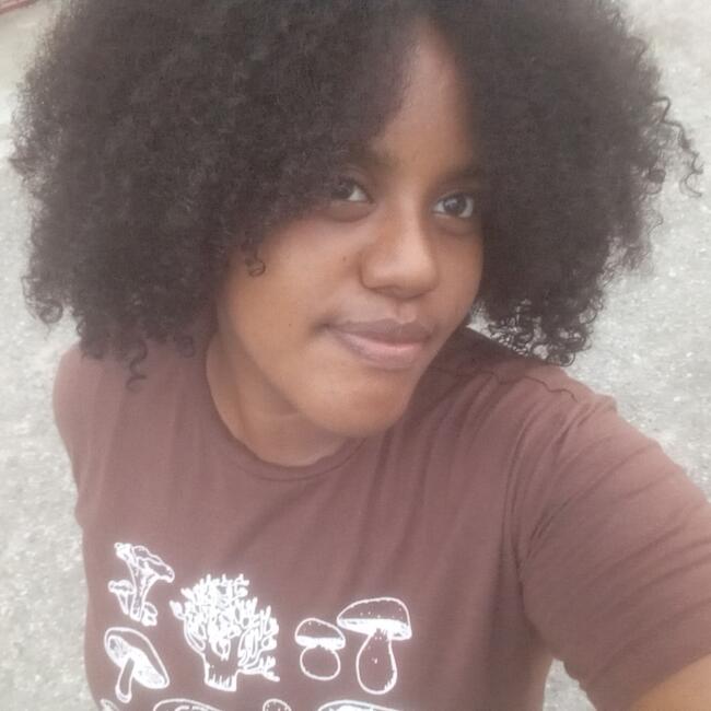 Babysitter στην περιοχή Puerto Plata: Luisainy