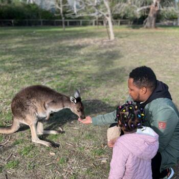 Babysitting job in Adelaide: babysitting job Davis