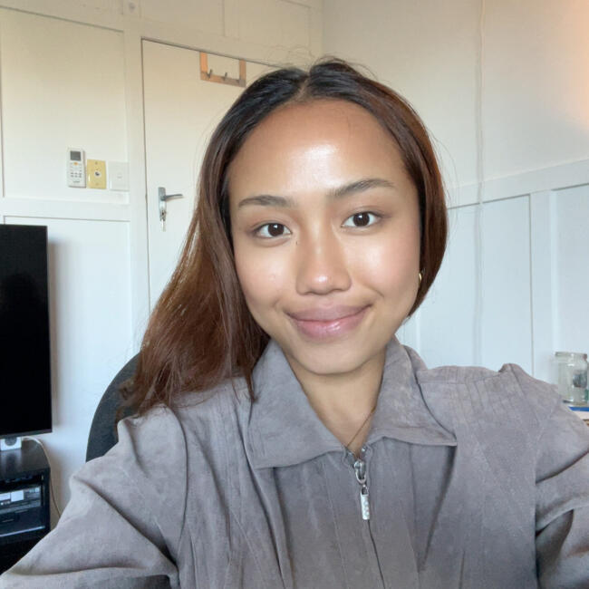 Babysitter in Brisbane: Divlan